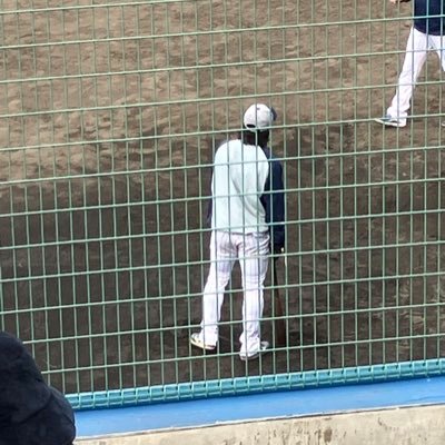 ヤクルトが好き