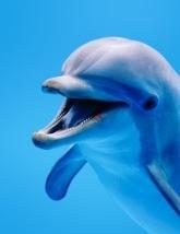 AmandaCarne's profile picture. 