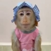 pare (@parefnbr) 's Twitter Profile Photo pare (@parefnbr) 's Twitter Profile Photo