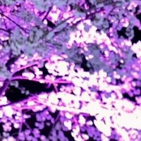 ヴァーロッシュ (@varoch_b) 's Twitter Profile Photo