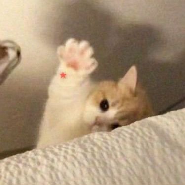 ak360085's profile picture. 