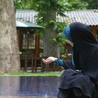 Nasim Kamali (@nasimkamaliii) 's Twitter Profile