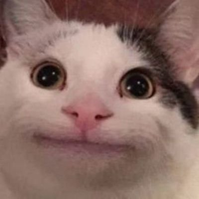 BorhadeSanchar's profile picture. Physically in Web2 but mind in Web3 🫡
                                              I don't make mistakes, I date them 🫠 (Old account suspended)  Reddio