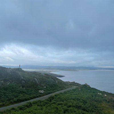 Gherman00979469's profile picture. Colaborator