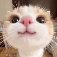 All (@aldybeben) 's Twitter Profile