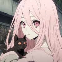 🐈‍⬛ ྀི . (@q_jr18) 's Twitter Profile Photo
