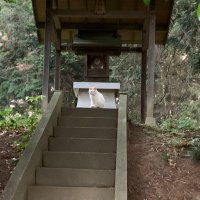 はーさん (@hatenaaaa22) 's Twitter Profile