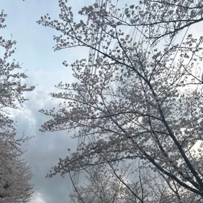 errereee__111's profile picture. 