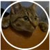 Duuk (@duukuefn) Twitter profile photo Duuk (@duukuefn) Twitter profile photo