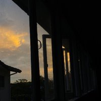 lil ray of sunflower (@little_rayyyyy) 's Twitter Profile