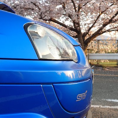 むねふらさんのプロフィール画像