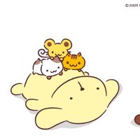 うさぎ (@____felicita) 's Twitter Profile