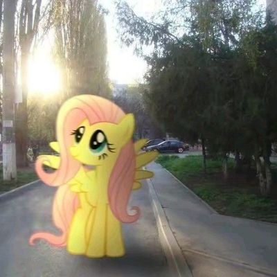 Sol_valen602's profile picture. 