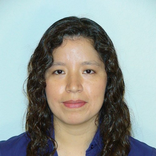IT InfoSec Professional, Electronics Engineer, Business Administrator.