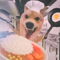 🐕 뭔¿규🐕 (@what_gyuuu) 's Twitter Profile