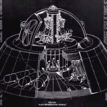 Vidar Profile