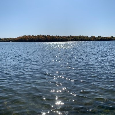 KDKK34566's profile picture. You are not here to destroy the system.
You are here to out-resonate it. h/t QT