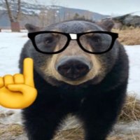bigDedu (@bigdedu37) 's Twitter Profile