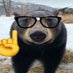 bigDedu (@bigdedu37) Twitter profile photo bigDedu (@bigdedu37) Twitter profile photo