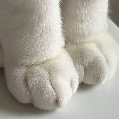 maree25257maree's profile picture. 