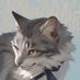 wwllcc (@wlchiu) Twitter profile photo wwllcc (@wlchiu) Twitter profile photo