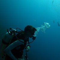 Jerry C Sorenson Jr. (@herdivebuddy) 's Twitter Profile
