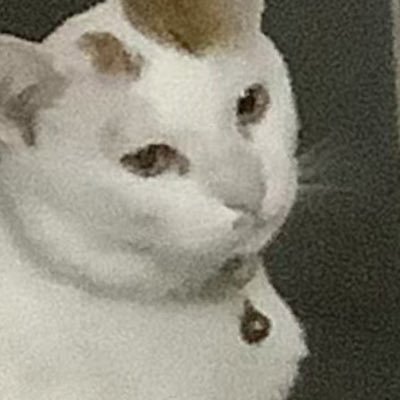 panipunik's profile picture. 