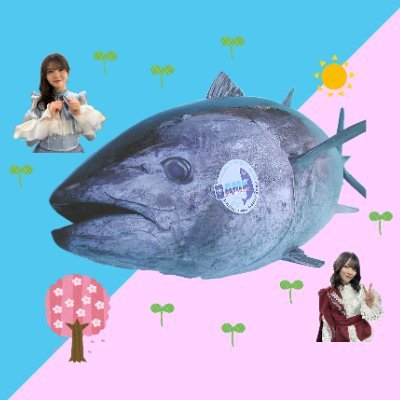 bluefintuna46's profile picture. クロマグロは重要な水産資源です🐟️皆で守っていきましょう🎣
目標：早く水産系のお仕事に就いて自立する✊️

buddies🌸 兼 おひさま☀
櫻坂46：るんちゃん🦅
日向坂46：はるはる🌱
その他のメンバー、OGも応援させていただいております🫶

モンハン、ポケモン、遊戯王、パズドラにはまっています🔥🐉