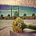 یاس کبود (@mkamali313) Twitter profile photo یاس کبود (@mkamali313) Twitter profile photo