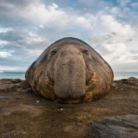 worm (@wormcolonthree) 's Twitter Profile Photo