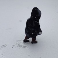 Picoin (@picoinen) 's Twitter Profile Photo Picoin (@picoinen) 's Twitter Profile Photo