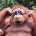 Bolang (@somebloke983) Twitter profile photo Bolang (@somebloke983) Twitter profile photo