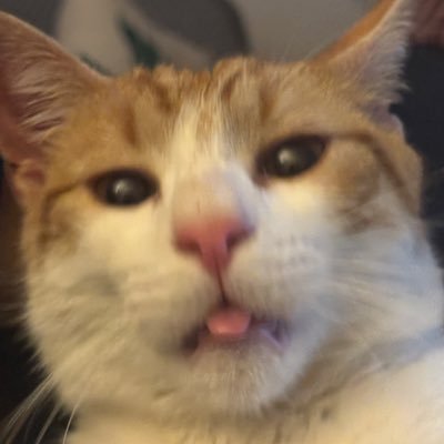 SasukeMitombo's profile picture. kishi kaisei