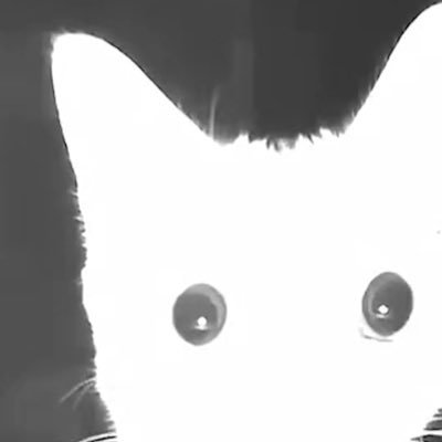 VendarW's profile picture. 