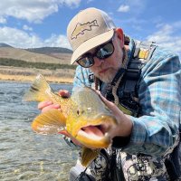 Blaine Saunders (@saundersblaine) 's Twitter Profile Photo