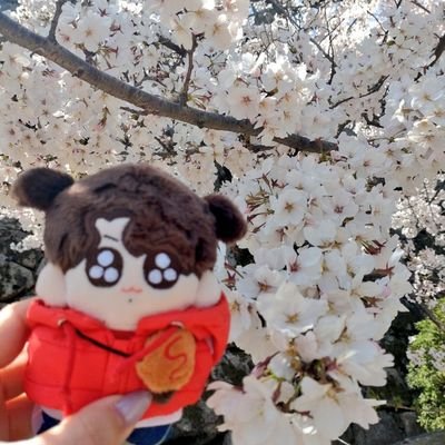 のりこさんのプロフィール画像