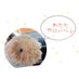 もふもふ わたあめ。 (@gh3w79sagc80210) Twitter profile photo もふもふ わたあめ。 (@gh3w79sagc80210) Twitter profile photo