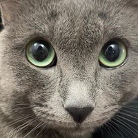 🌊 iem (@easiert0cry) 's Twitter Profile