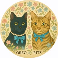 Sibling Cats | Oreo & Ritz (@oreotoritz) 's Twitter Profile