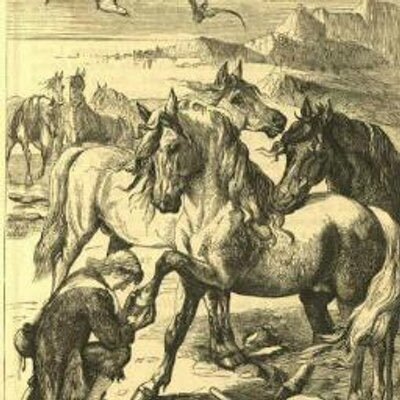 Houyhohnms's profile picture. しばらく静観。選挙前には浮上を。🇨🇳は好きな国だけれど、経済的人的侵略には抗いたい。移民反対だけど一億人の人口を保つなら毎年10万人は入れないといけない。