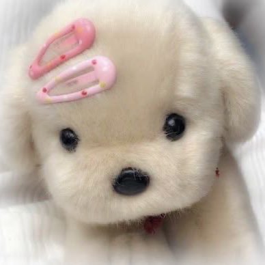 Only_1TT's profile picture. 