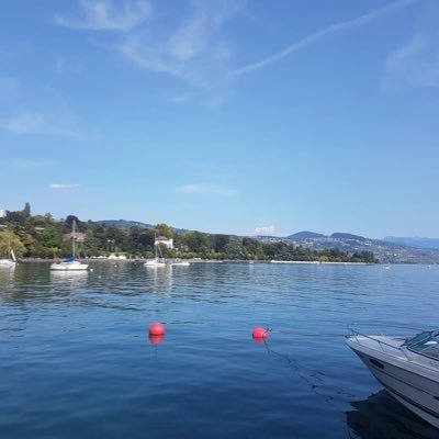 foolstax0425's profile picture. 