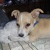 Bruno Ignacio Sanchez (@brunettasanchez) Twitter profile photo Bruno Ignacio Sanchez (@brunettasanchez) Twitter profile photo
