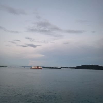 buku15515311's profile picture. 