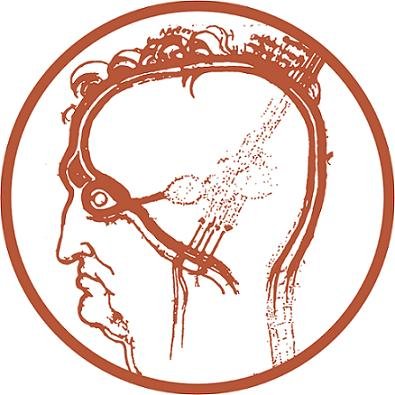 News and events from the Institute of Neuroscience of the National Research Council (IN-CNR)