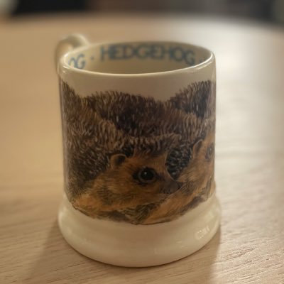 englishhedge's profile picture. 