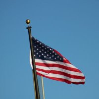 MLS_MEDIA12 (@mlsmedia12) 's Twitter Profile