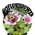 MOFlowergrower816 (@moflowergrower) Twitter profile photo MOFlowergrower816 (@moflowergrower) Twitter profile photo