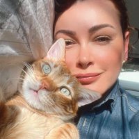 Aycin Inci (@aycininci) 's Twitter Profile Photo Aycin Inci (@aycininci) 's Twitter Profile Photo