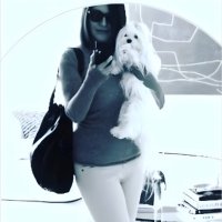 SandyD/NYC ๐บ๐ธ๐๐๐น๐ธ๐ (@djtmypresident) 's Twitter Profile